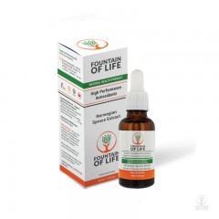 Health Benefits of Lignans